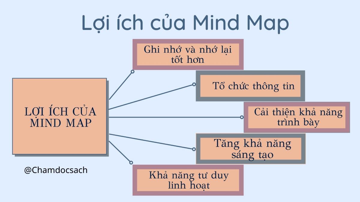 Mindmap For Kids  Chơi Hay Học Vui Với Sơ Đồ Tư Duy  Năng Lực Sáng Tạo