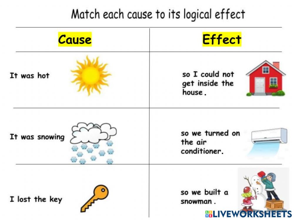 nguyên nhân và kết quả cause and effect