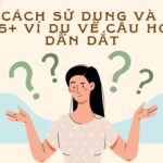 Câu hỏi dẫn dắt
