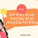 Câu hỏi Đóng là gì