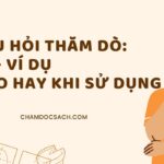 Câu hỏi thăm dò