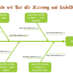 4 bước vẽ sơ đồ xương cá