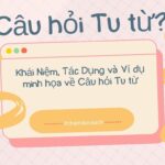Câu hỏi Tu từ