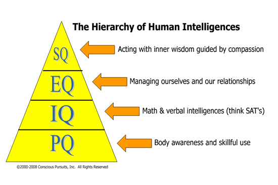 IQ-EQ-SQ