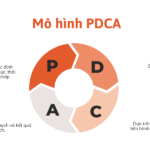 chu trình pdca