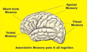 trí nhớ liên kết - liên tưởng và kết nối