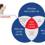 Lựa chọn nghề nghiệp