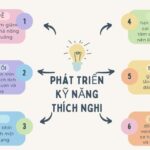 Phát triển Kỹ năng Thích nghi
