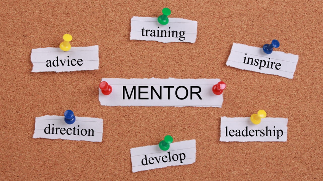 vai trò của mentor