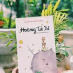 Hoang-tu-be
