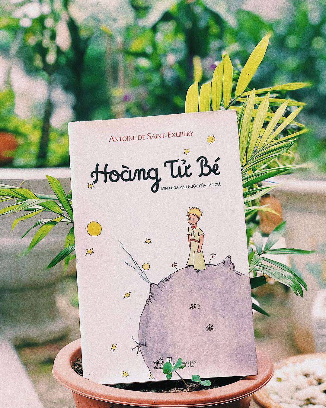 Hoang-tu-be