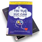 Trí Tuệ Xúc Cảm – Daniel Goleman