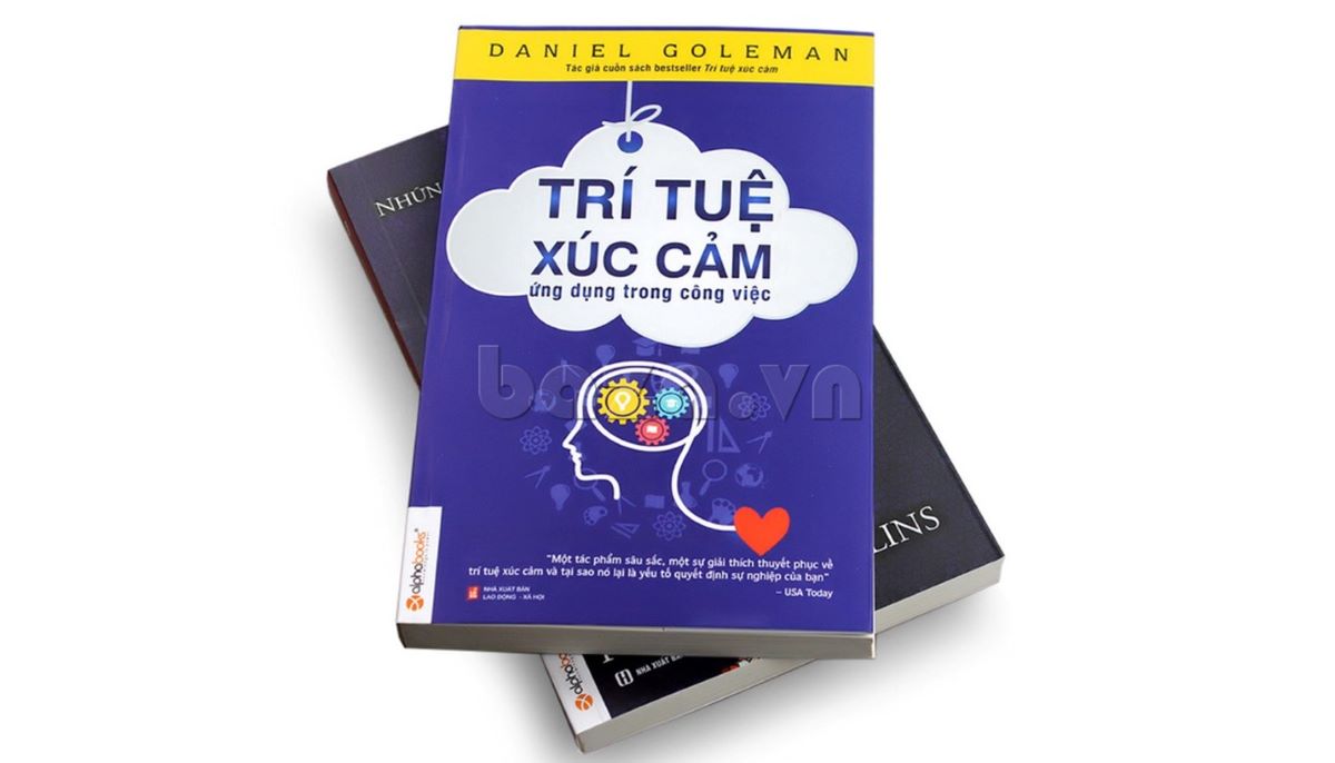 Trí Tuệ Xúc Cảm – Daniel Goleman