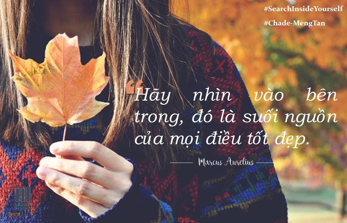 tìm kiếm bên trọng bạn