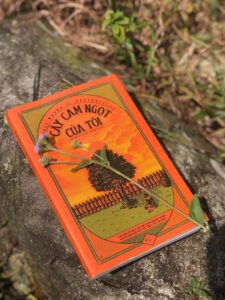 cay-cam-ngot-cua-toi