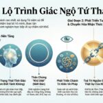 Tu Tuệ giác ngộ Tứ Thánh đế